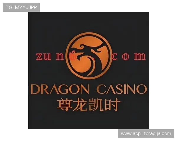 尊龙官网登录入口电脑版官方入口地址，确保安全可靠的登录体验