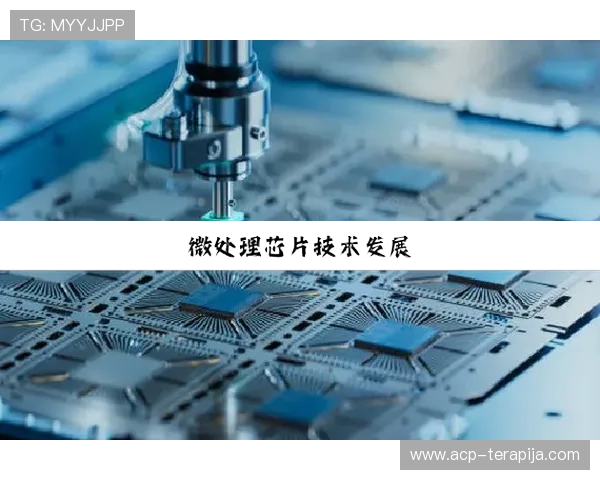 探索尊龙凯时平台的娱乐体验与用户评价