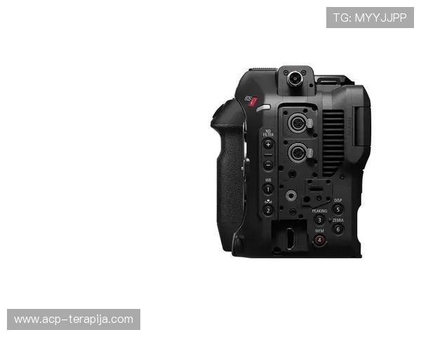 尊龙z6ag旗舰厅多样化的游戏玩法介绍,助你轻松掌握各种热门娱乐模式