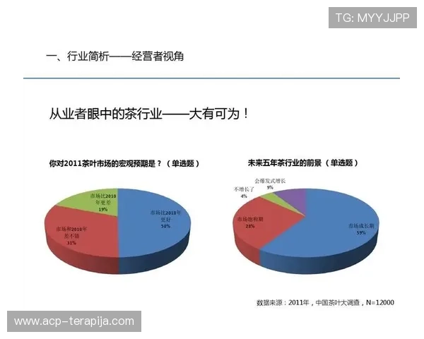 深度解析尊龙凯时中国区的营销渠道与合作伙伴关系