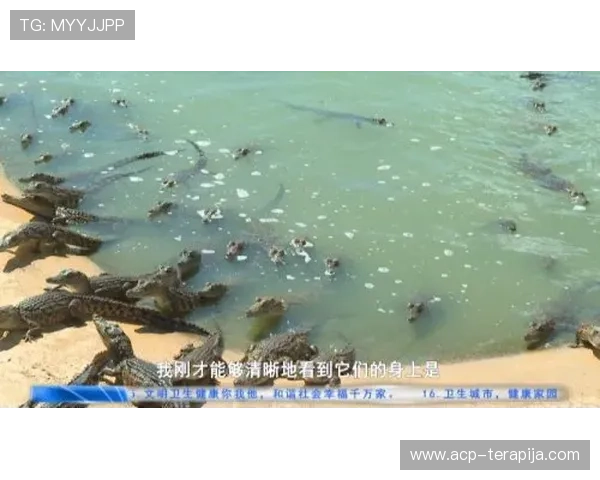 龙尊娱乐app安全保障措施，保障用户隐私和资金安全的全面解决方案