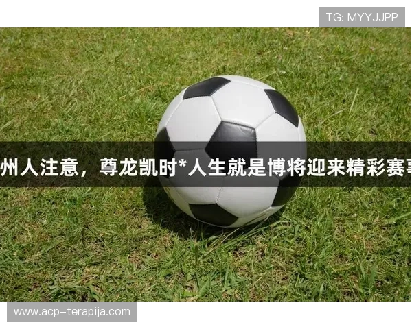 尊龙人生就是博门店：结合数字化工具优化管理流程实现门店智能化转型
